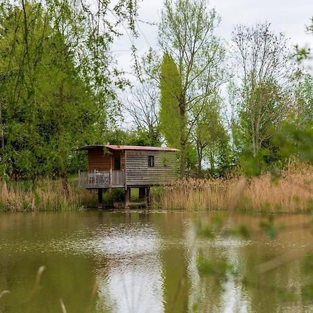 Lakeside Cabin On Stilts- 'Kingfisher' Rous Lench Eksteriør bilde