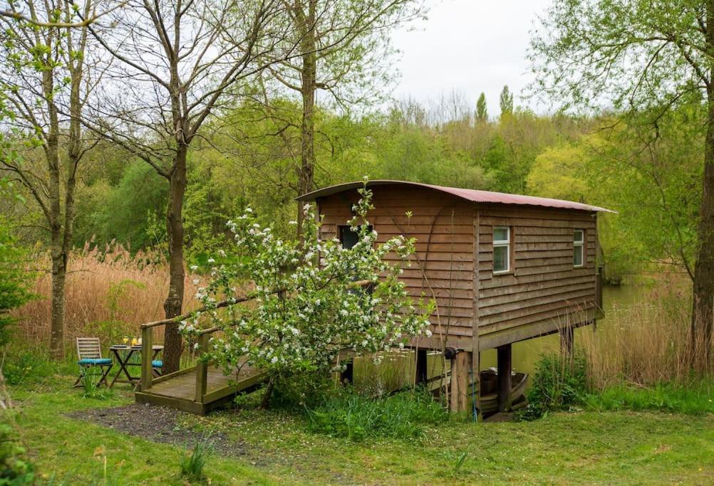 Lakeside Cabin On Stilts- 'Kingfisher' Rous Lench Eksteriør bilde